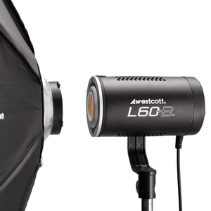 Westcott L-60-B 1-Light Backpack Kit